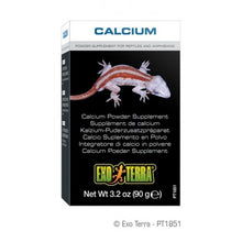 Load image into Gallery viewer, Exo Terra Calcium Powder Supplement 90g PT1851