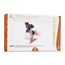 Load image into Gallery viewer, Revolution Spot-on Fleas Ticks Treatment for Dogs All Size
