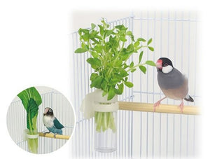 Wild Sanko Vegetable Pot for Bird (B64) Parrot Bird Feed