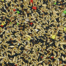 Load image into Gallery viewer, Witte Molen Country Canary 600g Song Bird Feed
