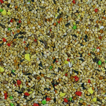 Load image into Gallery viewer, Witte Molen Country Finch Finches 600g Song Bird Feed