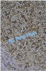 KSPH China White Millet Seeds 1kg