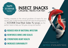 Load image into Gallery viewer, EcoGrub: Dried Black Soldier Fly Larvae - 200g