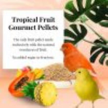 Load image into Gallery viewer, Lafeber Canary Tropical Fruit Gourmet Pellets 1.25lb Song Bird Feed