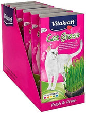 Load image into Gallery viewer, Vitakraft Cat Grass Kit Tray Self Grow Cat Treat
