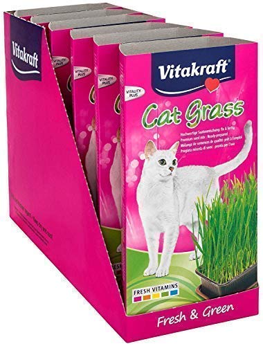 Vitakraft Cat Grass Kit Tray Self Grow Cat Treat