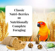 Load image into Gallery viewer, Lafeber Conure Nutri-Berries 10oz Parrot Bird Food Diet