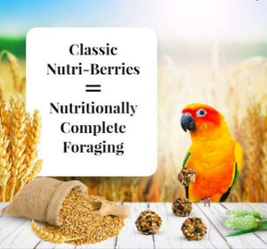 Lafeber Conure Nutri-Berries 10oz Parrot Bird Food Diet