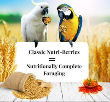 Load image into Gallery viewer, Lafeber Macaw &amp; Cockatoo Nutri-Berries 10oz Parrot Bird Food Diet