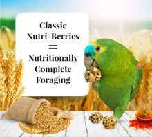 Load image into Gallery viewer, Lafeber Parrot Nutri-Berries 10oz Parrot Bird Food Diet