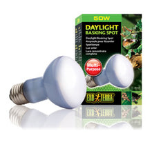 Load image into Gallery viewer, Exo Terra Daylight Basking Spot Lamp PT2131 - R20/50W