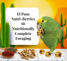 Load image into Gallery viewer, Lafeber El Paso Nutri-Berries 10oz Parrot Bird Food Diet