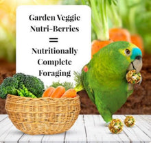 Load image into Gallery viewer, Lafeber Garden Veggie Nutri-Berries 10oz / 3lb Parrot Bird Food Diet