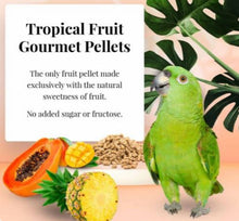 Load image into Gallery viewer, Lafeber Parrot Tropical Fruit Gourmet Pellets 1.25lb/4lb Parrot Bird Food Diet