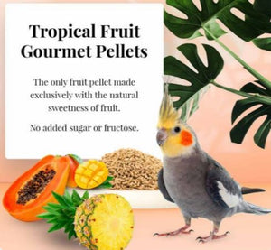 Lafeber Cockatiel Tropical Fruit Gourmet Pellets 1.25lb / 4lb Parrot Bird Food Diet