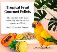 Load image into Gallery viewer, Lafeber Conure Tropical Fruit Gourmet Pellets 1.25lb / 4lb