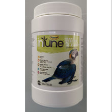 Load image into Gallery viewer, HigginS Intune High Energy Hand Feeding Formula 10z/5lb Parrot Baby Bird Food Diet
