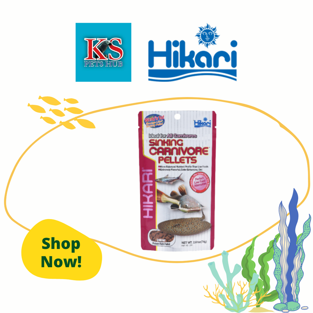 Hikari Tropical Sinking Carnivore Pellets 74g Fish Food