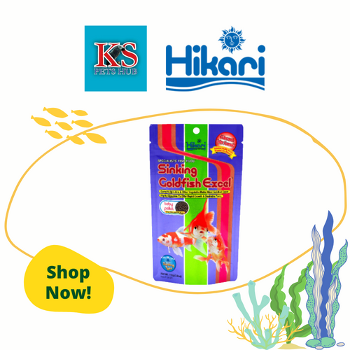 Hikari Sinking Goldfish Excel 110g Fish Feed