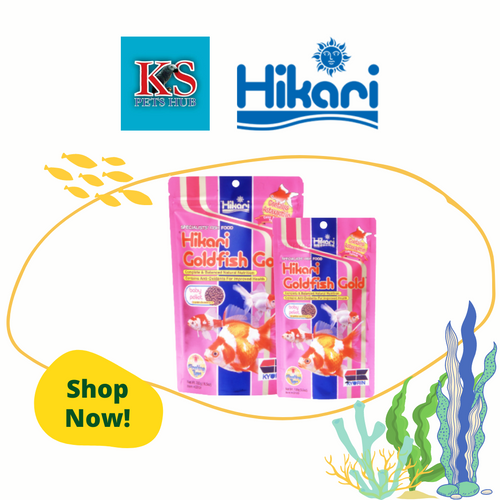Hikari Goldfish Gold 100g / 300g Fish Feed