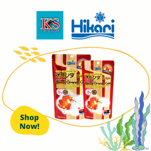 Hikari Oranda Gold 100g / 300g Fish Feed