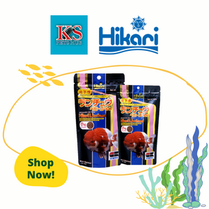 Hikari Lionhead 100g / 350g Fish Food
