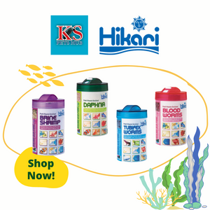 Hikari Bio-Pure Freeze Dried Series Assorted Fish Feed