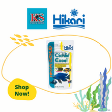 Load image into Gallery viewer, Hikari Cichlid Excel Mini 250g Fish Feed