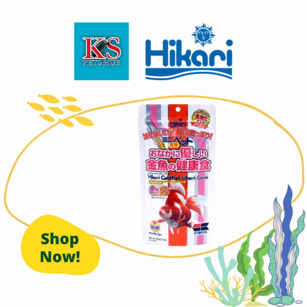 Hikari Goldfish Wheat-Germ Mini 200g Fish Feed