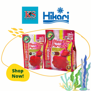 Hikari Tropical Blood-Red Parrot+ 333g / 600g Mini Medium