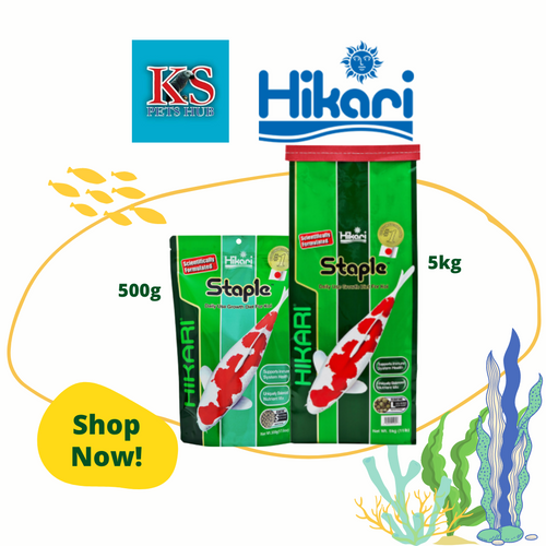 Hikari Staple Koi Fish Diet 500g /5kg