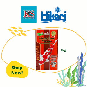 Hikari Wheat-Germ Formula Maintenance Diet For Koi 5kg