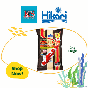 Hikari Hi-Growth Koi Floating Large Pellet Fish Feed 4.4lb (2kg)