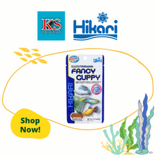 Load image into Gallery viewer, Hikari Tropical Fancy Guppy 22g Fish Feed