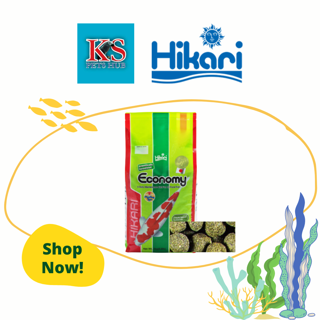 Hikari economy top koi food