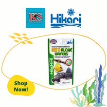 Load image into Gallery viewer, Hikari Tropical Mini Algae Wafer 85g