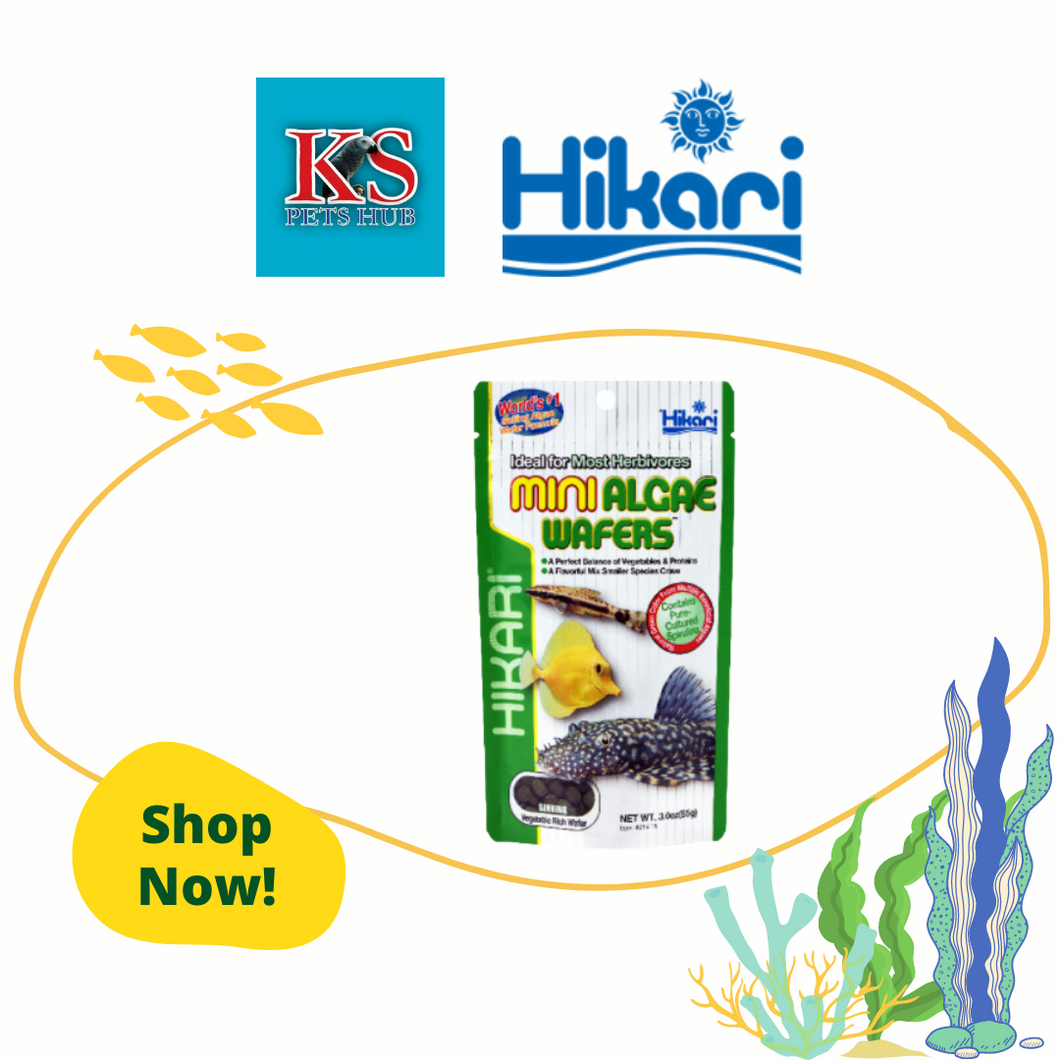 Hikari Tropical Mini Algae Wafer 85g