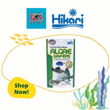 Load image into Gallery viewer, Hikari Tropical Algae Wafer