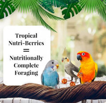 Load image into Gallery viewer, Lafeber Tropical Fruit Nutri-Berries for Macaws &amp; Cockatoos 10oz
