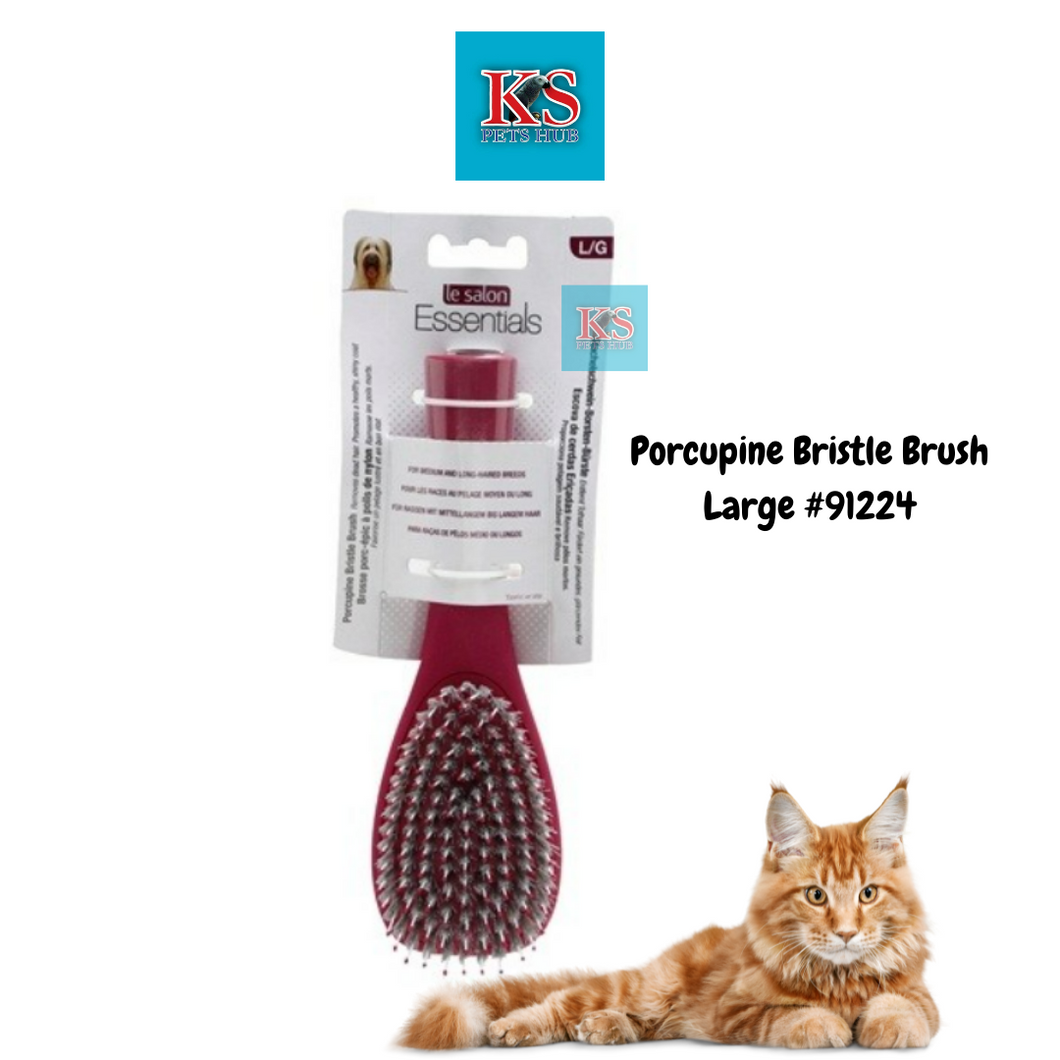 Le Salon Essentials Dog Porcupine Bristle Brush - Large #91224