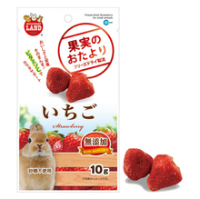 Load image into Gallery viewer, Marukan Freeze Dried Strawberry for Small Animals 10g (ML84)