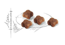 Load image into Gallery viewer, Royal Canin Feline Mother &amp; Babycat Cat Feed 0.4kg/2kg/10kg