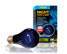 Exo Terra Night Heat Lamp PT2130 - A19/75W