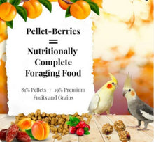 Load image into Gallery viewer, Lafeber Pellet-Berries for Cockatiels 10oz Parrot Bird Food Diet