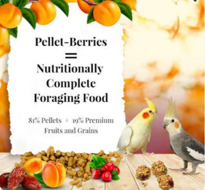 Lafeber Pellet-Berries for Cockatiels 10oz Parrot Bird Food Diet