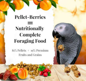 Lafeber Pellet-Berries for Parrots 10oz Bird Food Diet