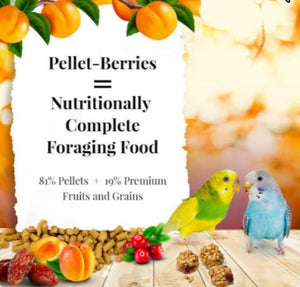 [Discontinued] Lafeber Pellet-Berries for Parakeets 10oz Parrot Bird Food Diet