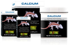 Load image into Gallery viewer, Exo Terra Calcium Powder Supplement 90g PT1851