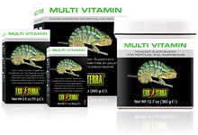 Load image into Gallery viewer, Exo Terra Multi Vitamin Powder Supplement 2.5oz 70g (PT1861)