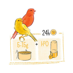 Witte Molen Puur Canary 750g Song Bird Food Diet